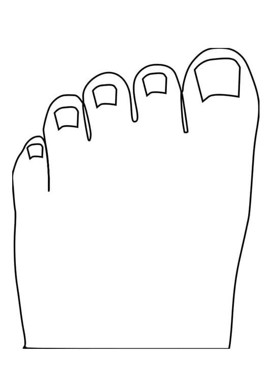 Coloring Page toes - free printable coloring pages - Img 27470