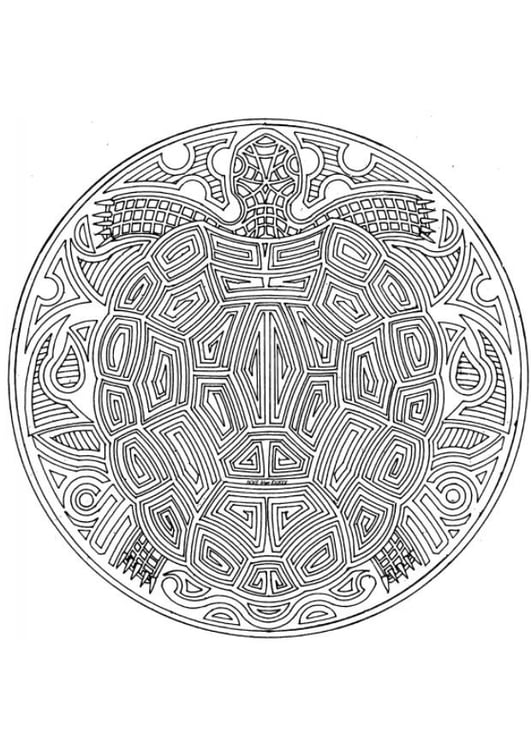 coloring page turtle mandala  free printable coloring pages
