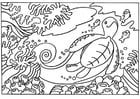 Coloring page Turtle