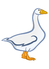 Image goose