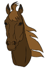 Image horse's head