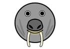 Image r1- walrus
