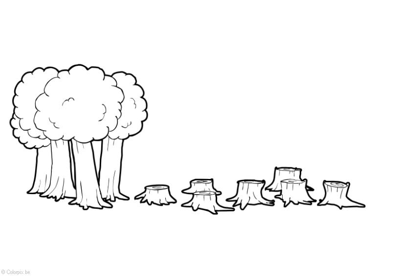 deforestation coloring page