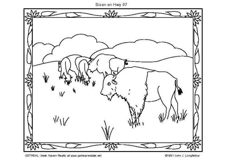 Coloring page american bison