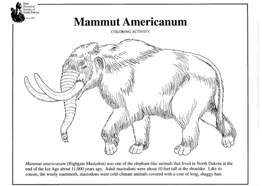 Coloring page american mammoth