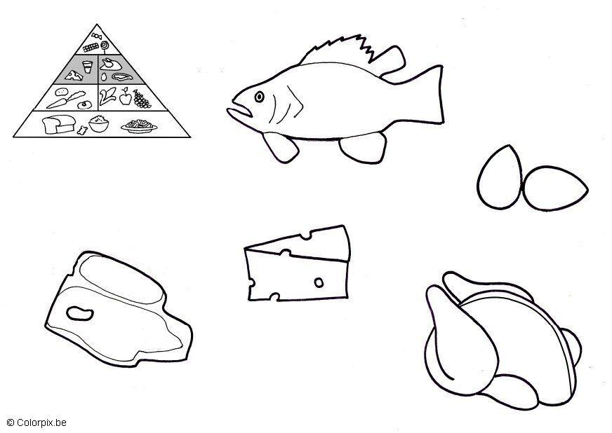 Coloring page animal products