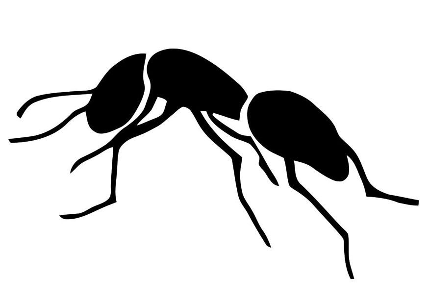 Coloring page ant