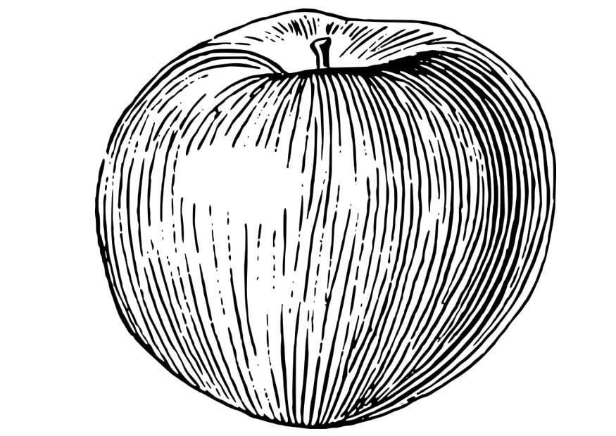 Coloring page apple