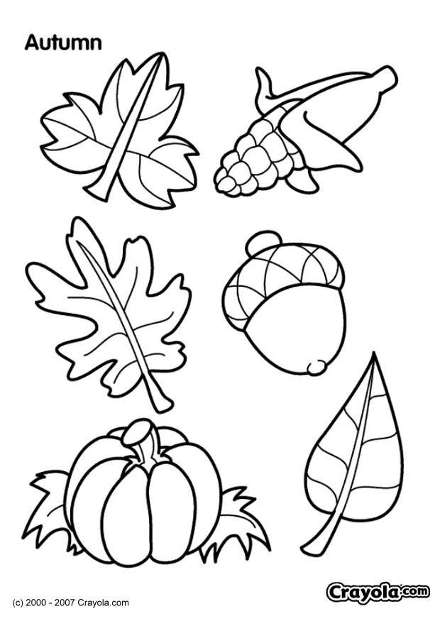 Coloring page autumn