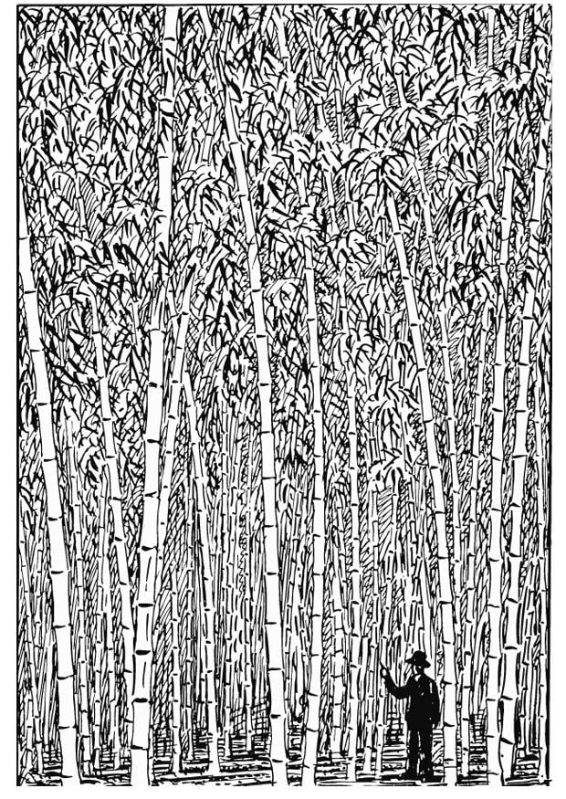 Coloring page bamboo