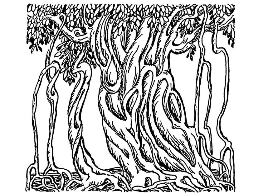 Coloring page banyan tree