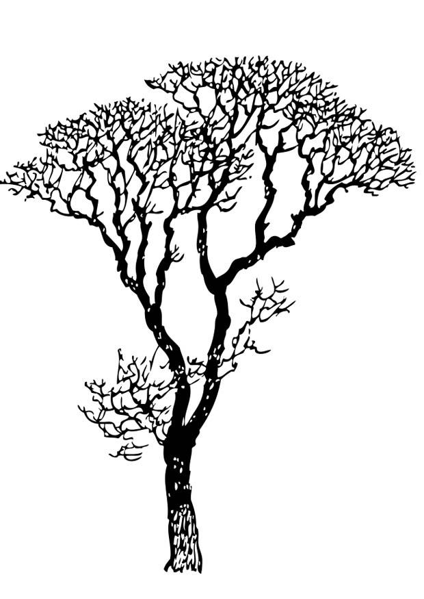 Coloring page bare tree