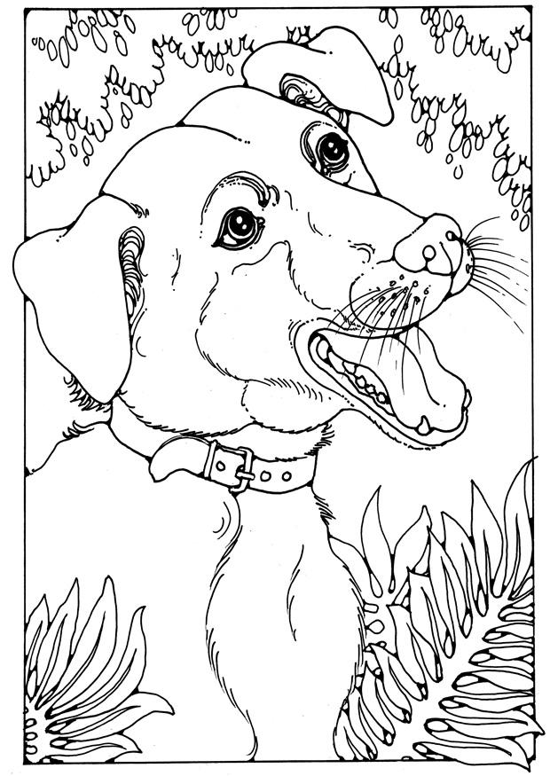 Coloring page bastard