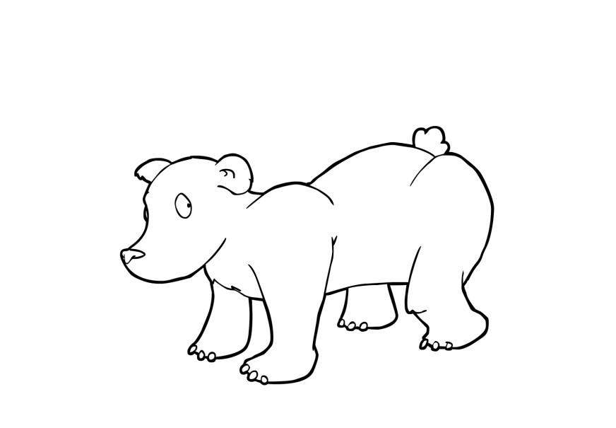 Coloring page bear