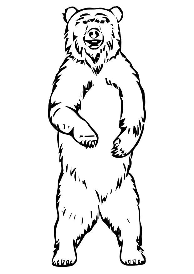 Coloring page bear