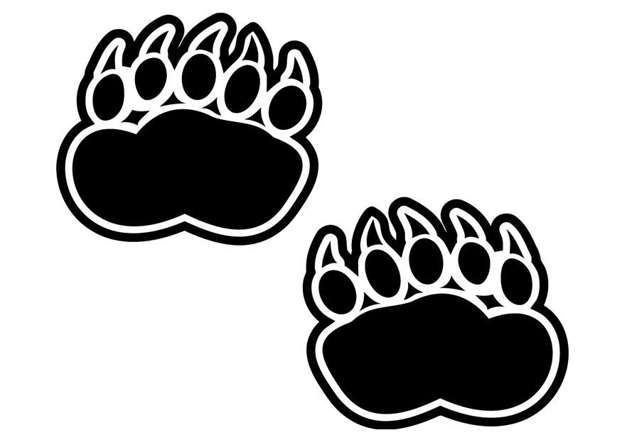 Coloring page bear footprint