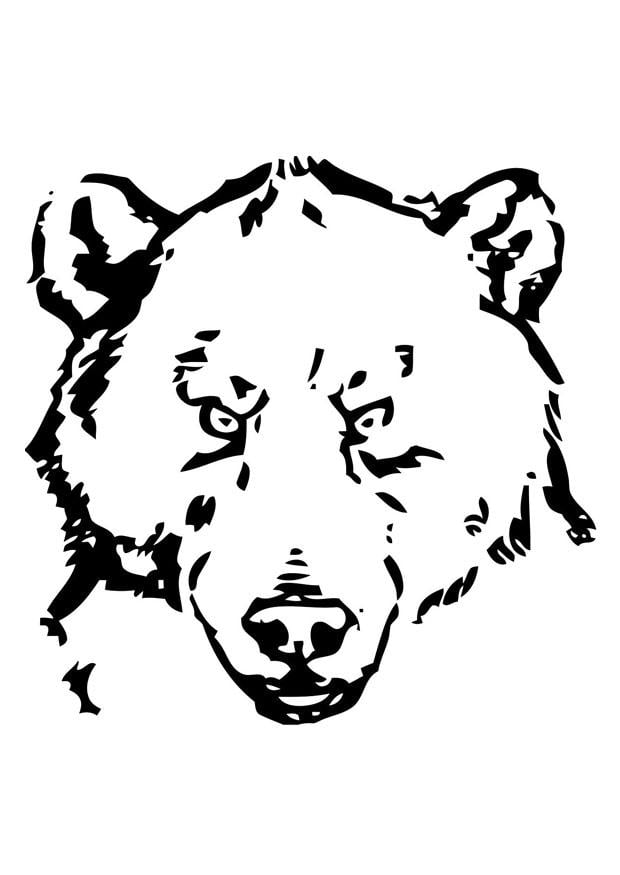 Coloring page bears head