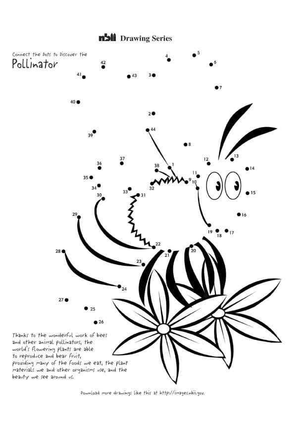 Coloring page bee