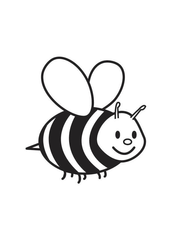 Coloring page bee