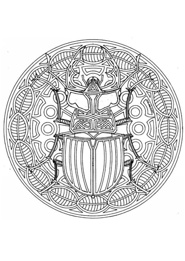 Coloring page beetle mandala