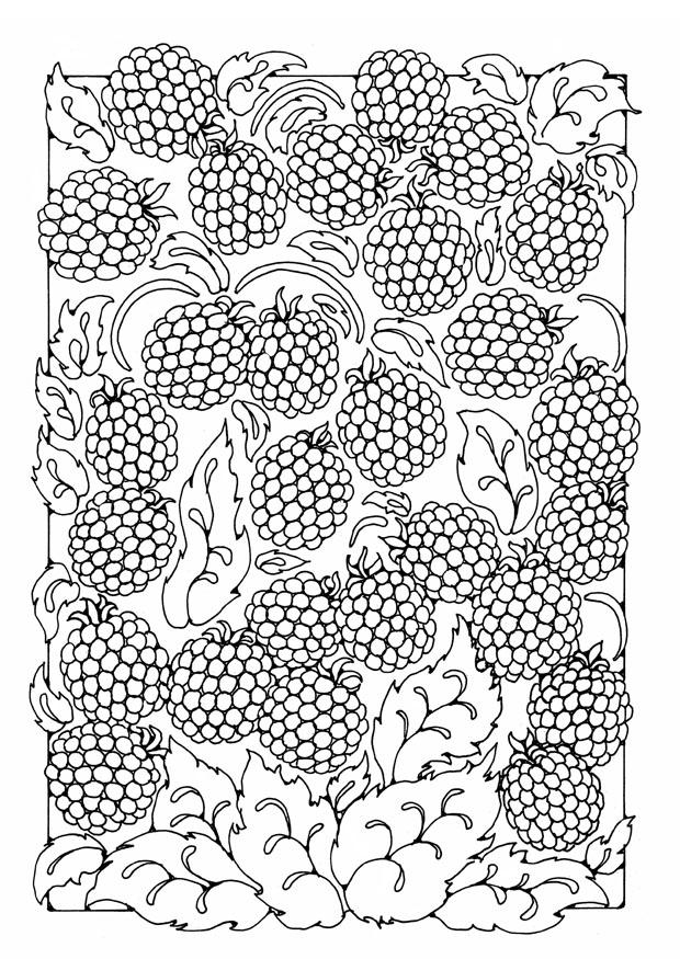 Coloring page berries