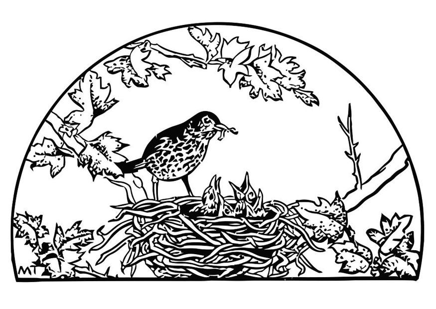 Coloring page birds nest