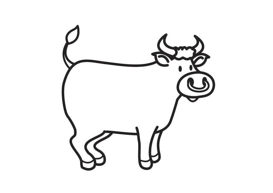 Coloring page bull