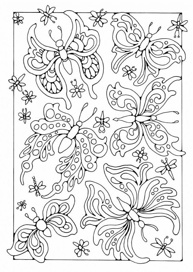 Coloring page butterflies