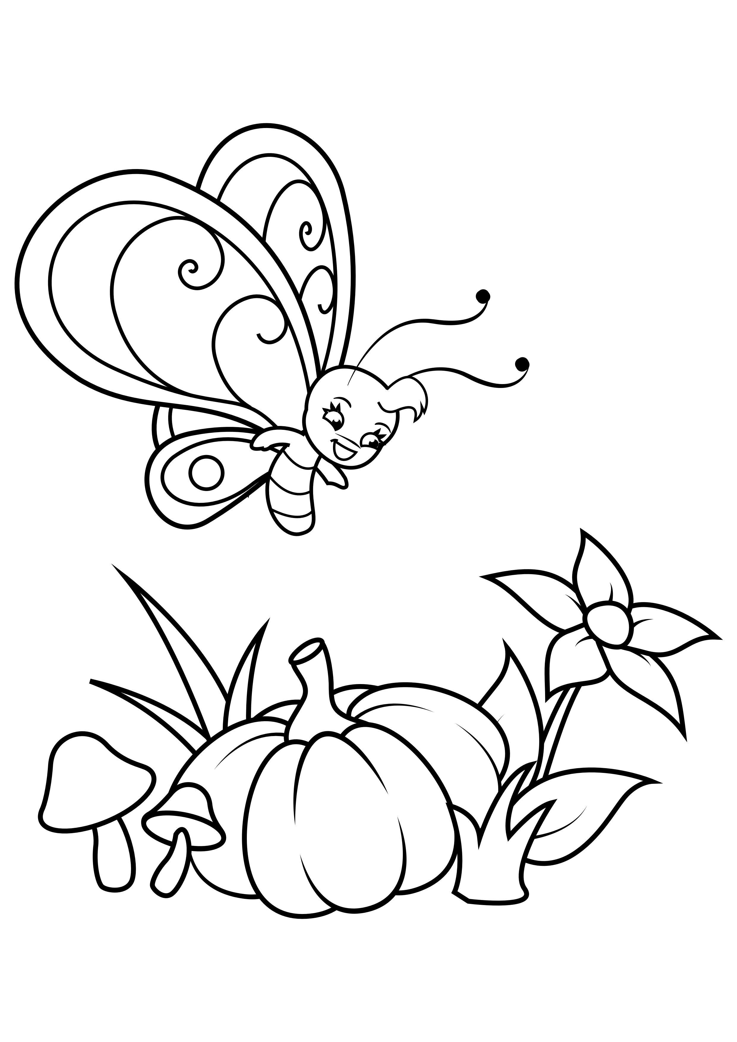 Coloring page butterfly above flower and pumpkin