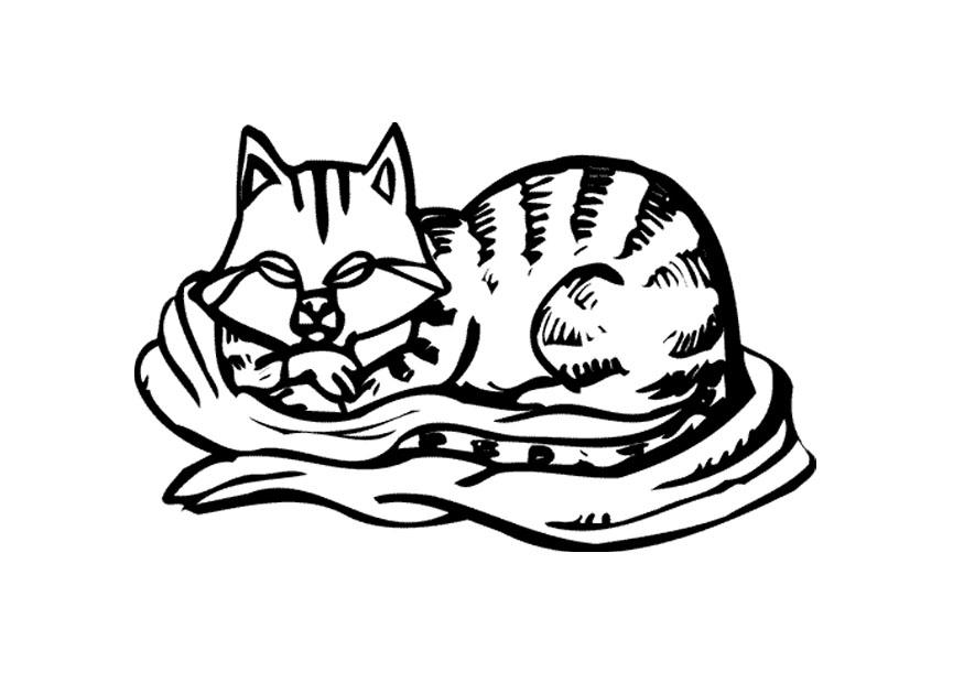 Coloring page cat