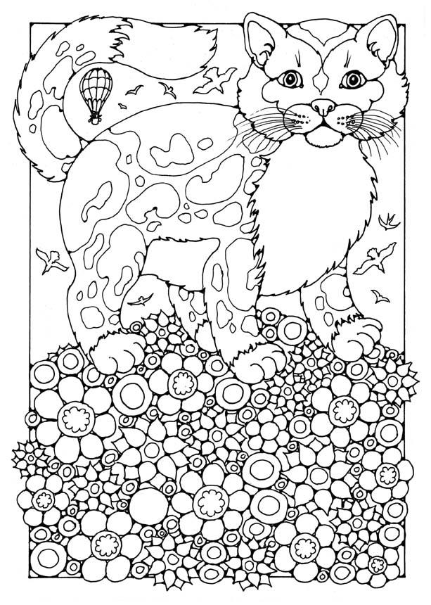 Coloring page cat