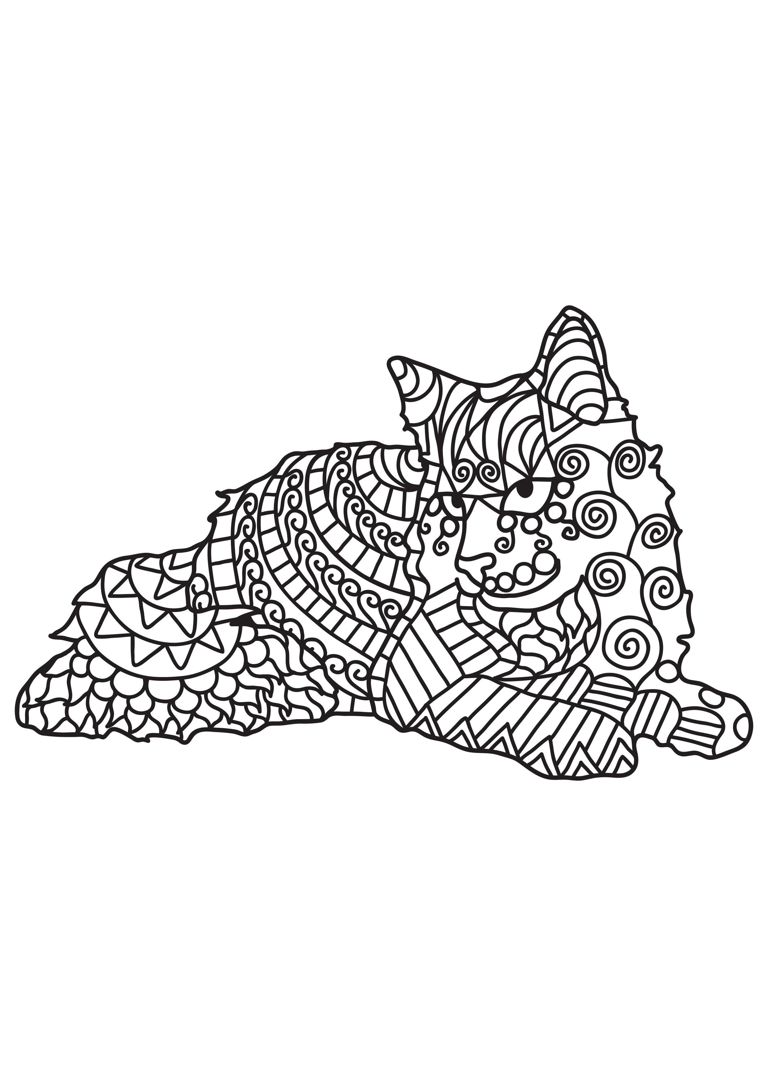 Coloring page cat is resting