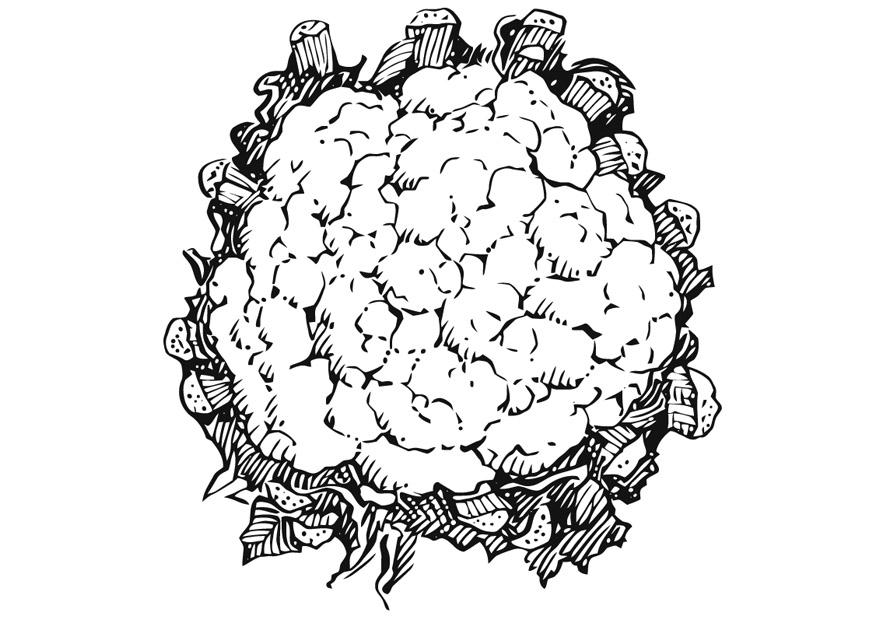 Coloring page cauliflower