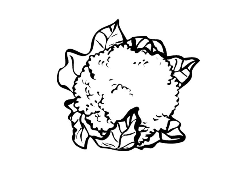 Coloring page cauliflower