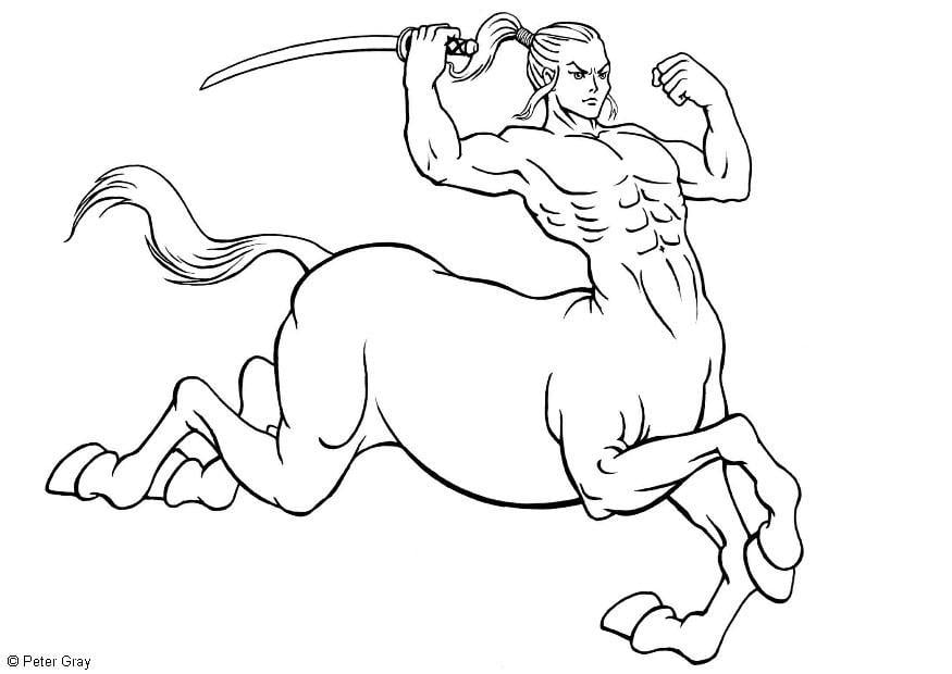 Coloring page centaur