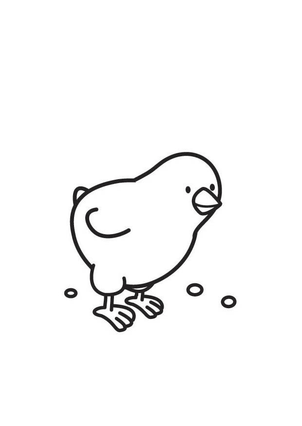 Coloring page chick