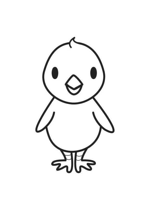 Coloring page chick