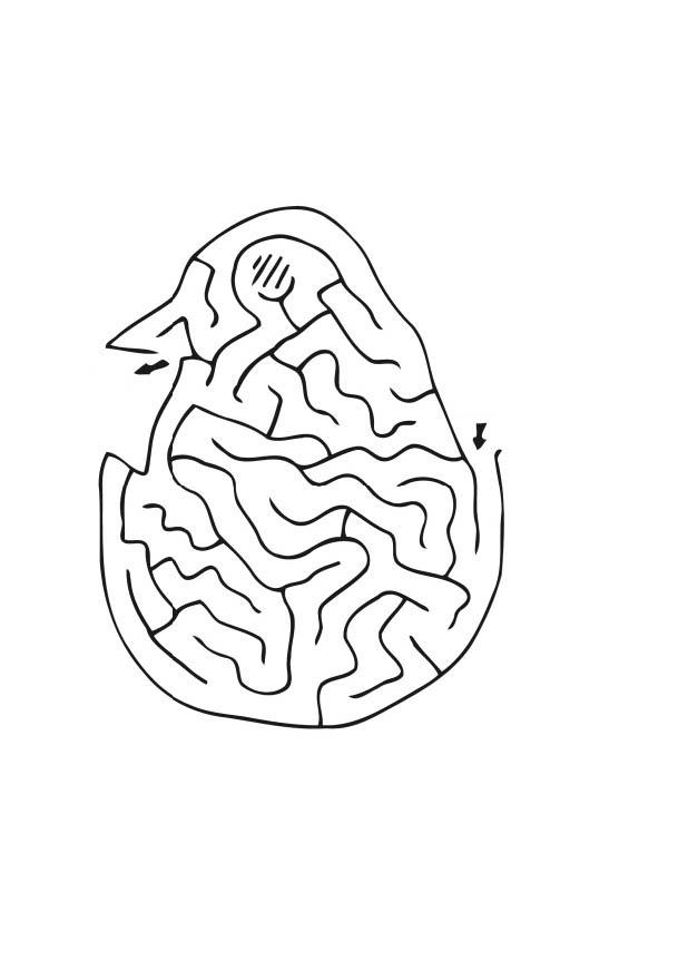 Coloring page chick maze