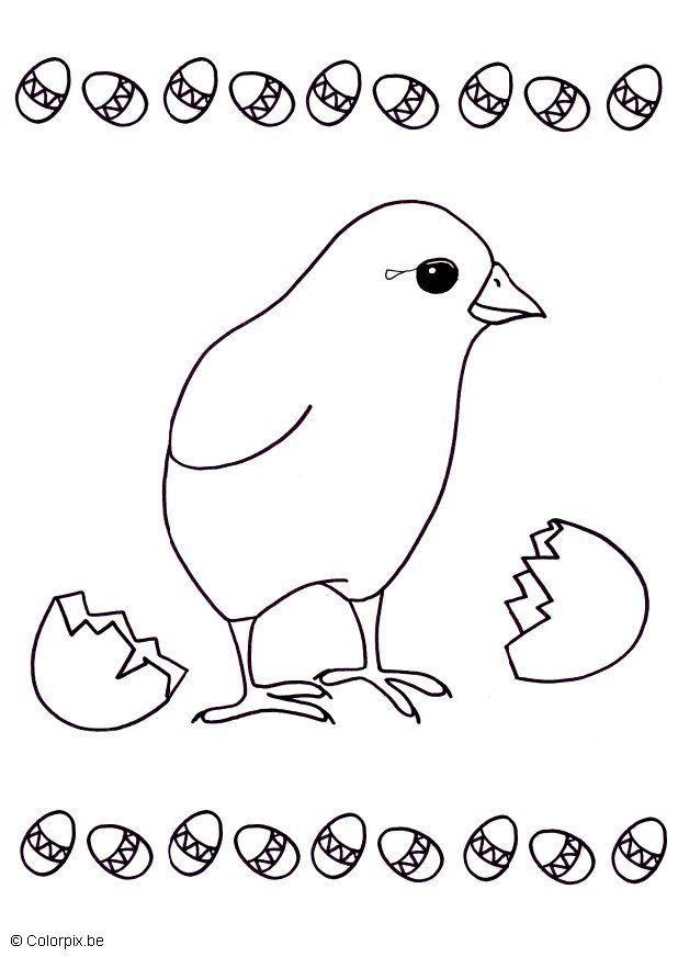 Coloring page chicken