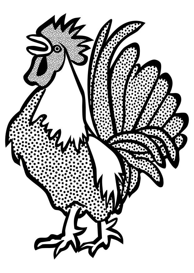 Coloring page cockerel