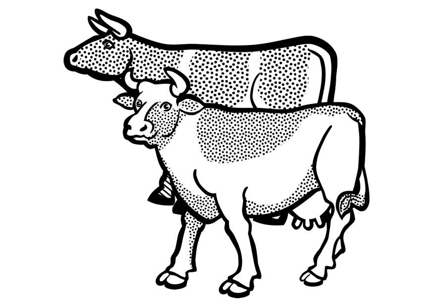 Coloring page cows