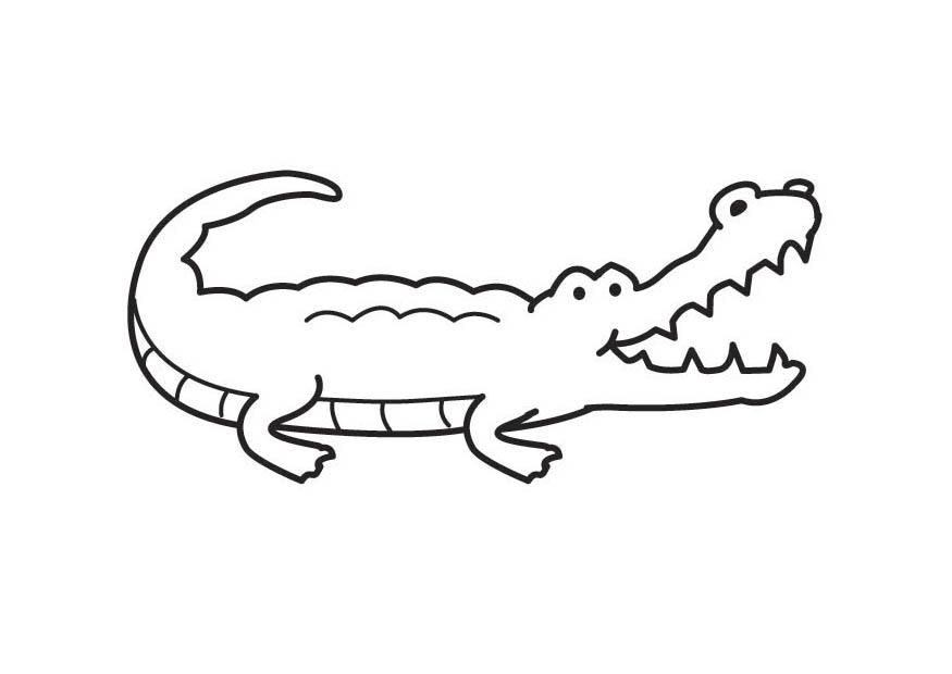 Coloring page crocodile