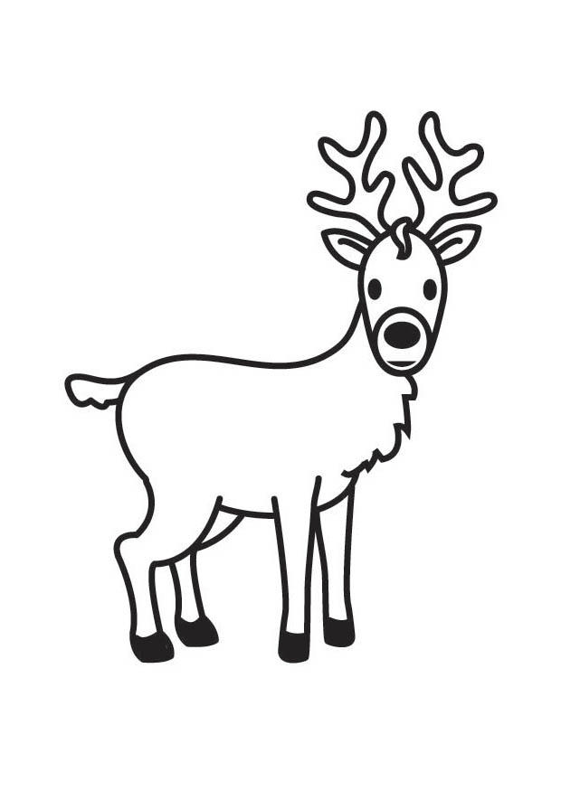 Coloring page deer