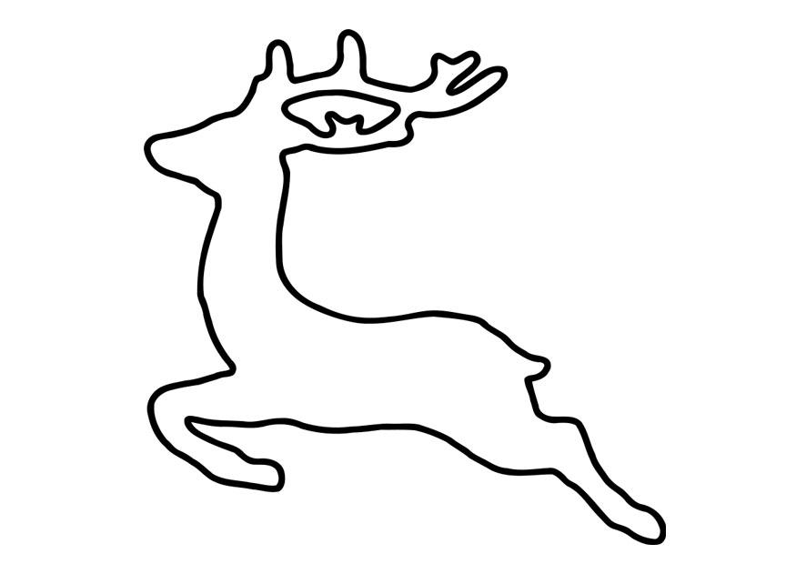 Coloring page deer