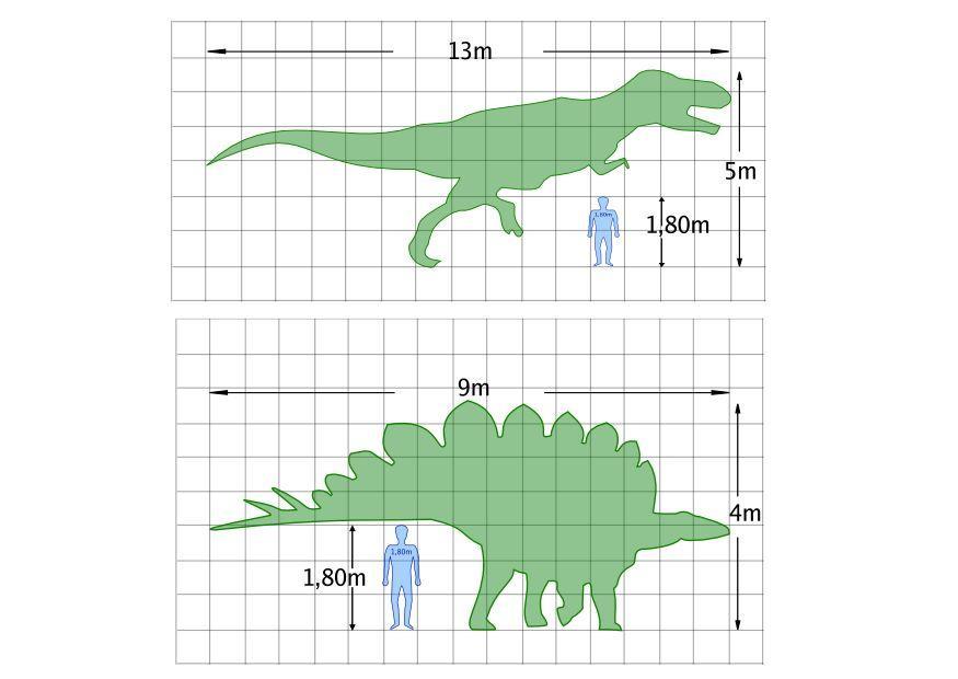 Coloring page dinosaur dimensions