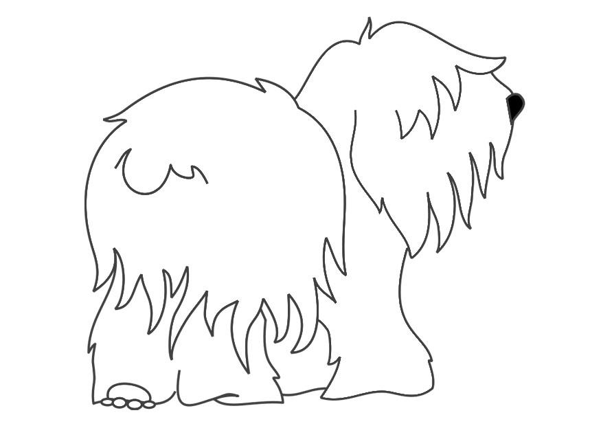 Coloring page dog - bobtail