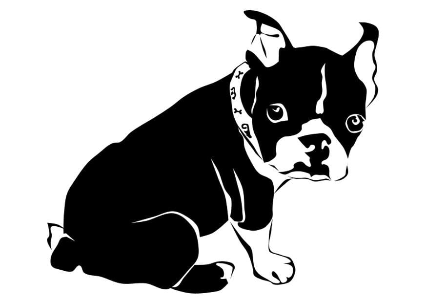 Coloring page dog - french bulldog