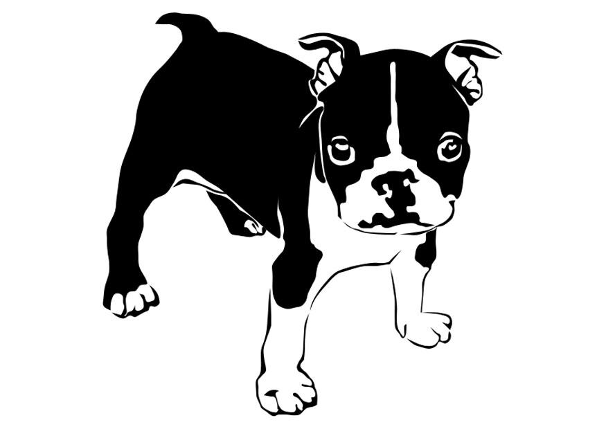 Coloring page dog - french bulldog