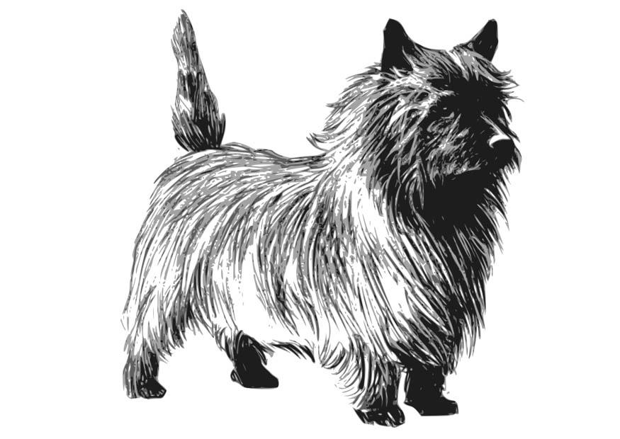 Coloring page dog - terrier