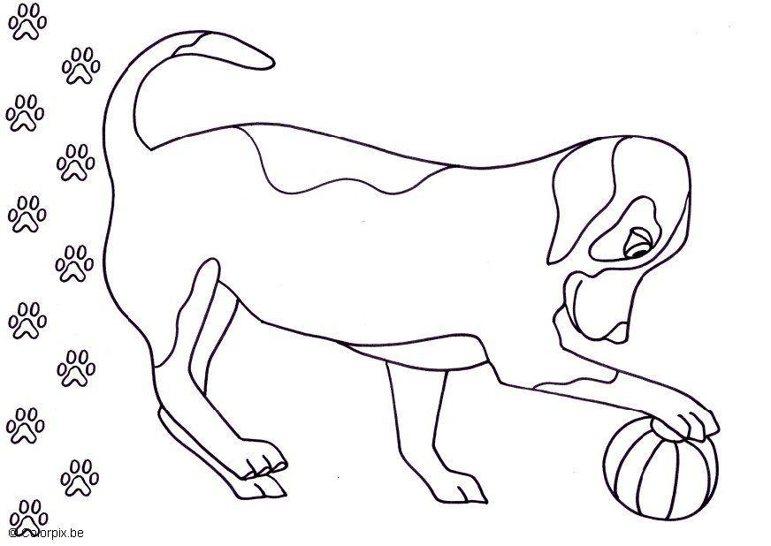 Coloring page dog